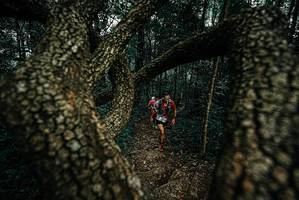 BIB: 
                            <button type="button" onclick="openModal(25692395)" class="btn btn-primary btn-sm float-right btn-popup" data-toggle="modal" data-target=".modal-high-quality">
                        <i class="fas fa-shopping-cart"></i> Add to Cart
                    </button>
                                            <button type="button" onclick="isThisMe(25692395, true)" class="btn btn-success btn-sm float-right btn-popup btn-isme hidden" data-toggle="tooltip" data-placement="bottom" title="นี่คือรูปของคุณใช่ไหม คลิกที่นี่เพื่อเอาเข้าอัลบั้ม">
                        <i class="fas fa-plus"></i> Add to album
                    </button>
                    <button type="button" onclick="isThisMe(25692395, false)" class="btn btn-warning btn-sm float-right btn-popup btn-isnotme hidden">
                        <i class="fas fa-ban"></i> Remove from album
                    </button>